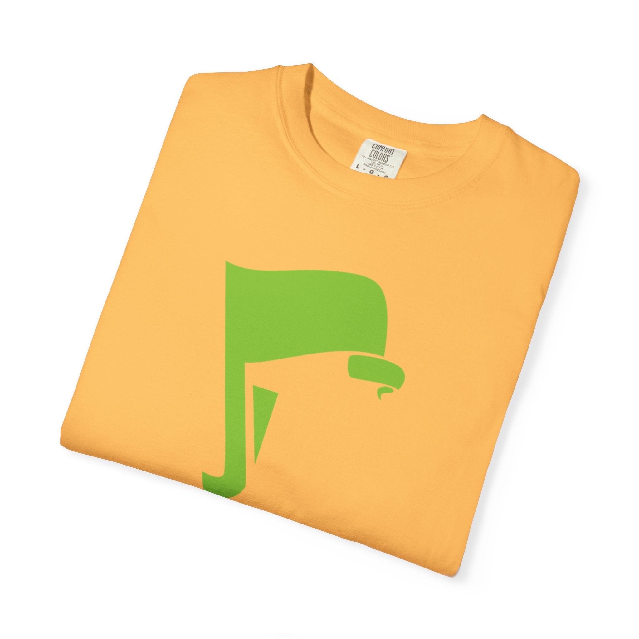 Flags of Our Father Graphic Tee - Blue Green